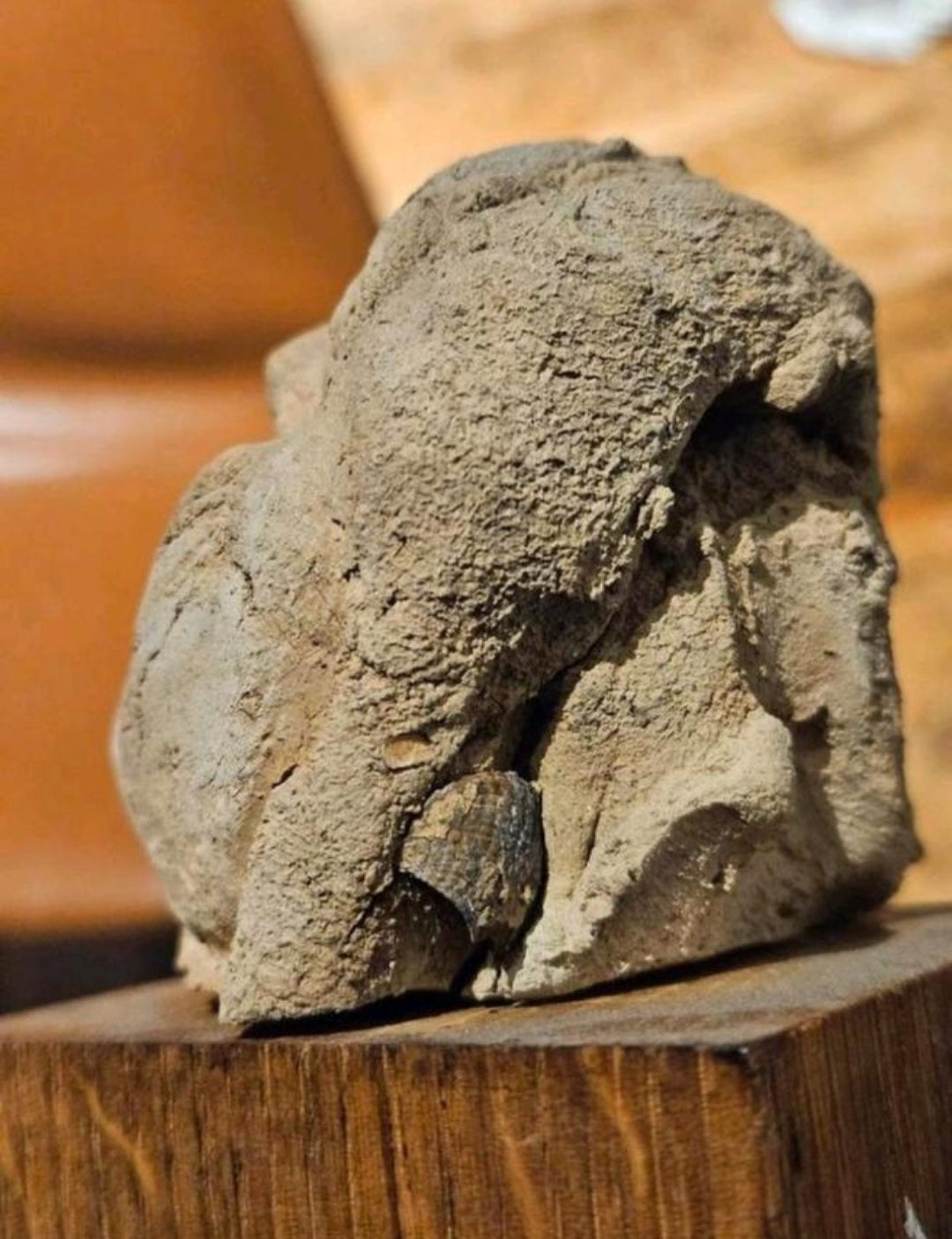 Charlotte Koster -
Sculptuur van lokale zee klei