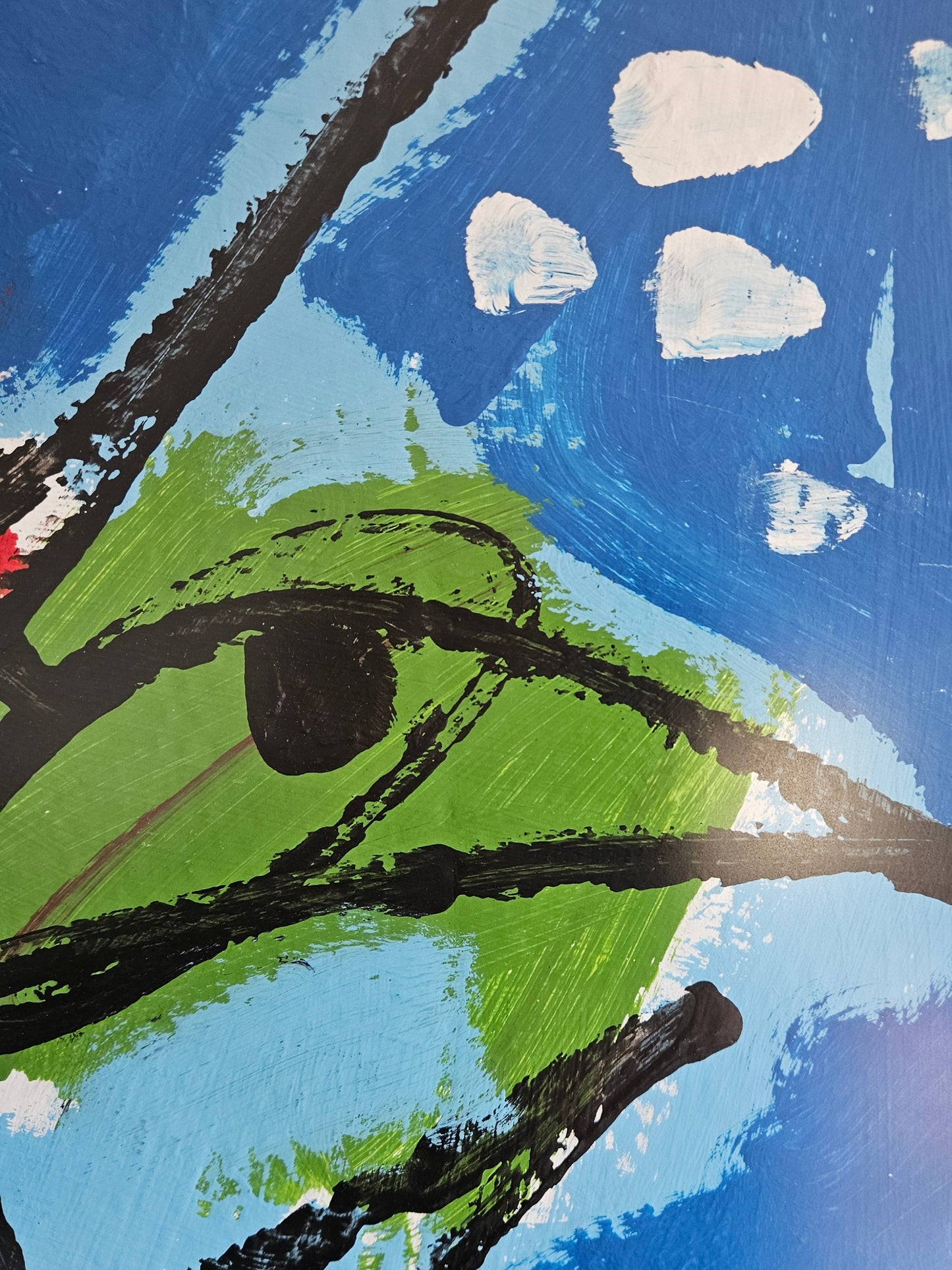 Marc Barendse - De Vogelkooi